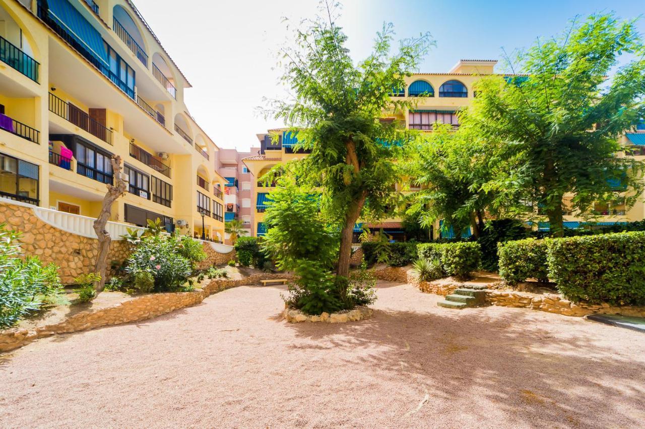 Apartamento Alegria Id36 Torre La Mata Exterior foto